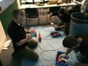 Students practice packing wounds while Dr. Shertz squeezes copious amounts of fake blood into the simulated wound