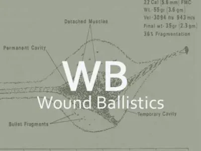 Wound Ballistics and Combat Mindset &ndash; SELECTION