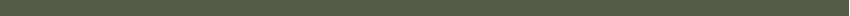 an olive green line to divide page contents
