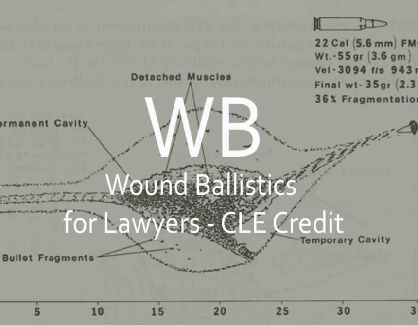 WB FOR LAWYERS Illustrator