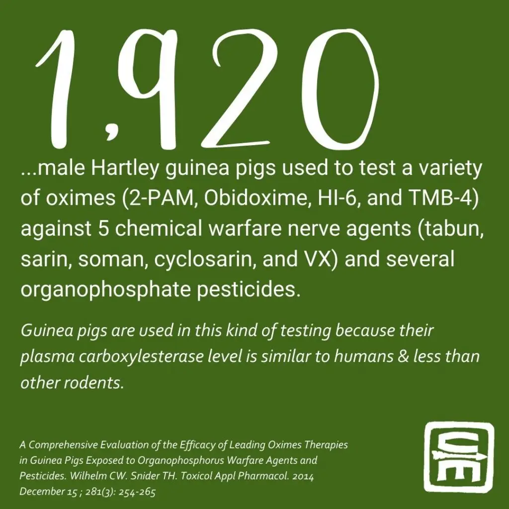 Short Description: An infographic called: CBRN by the numbers, breaking down CBRN medical literature into easy to digest statistics. Long Description: 1,920... Male Hartley guinea pigs used to test a variety of oximes (2-PAM, Obidoxime, H!-6, and TMB-4) against 5 chemical warfare nerve agents (tabun, sarin, soman, cyclosarin, and VX) ad several organophosphates pesticides.