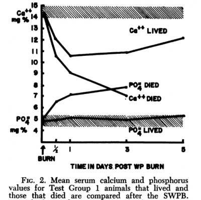 Graph Calcium Phos