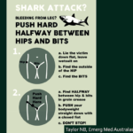 An Australia poster encouraging inguinal compression be performed halfway between the hips and bits