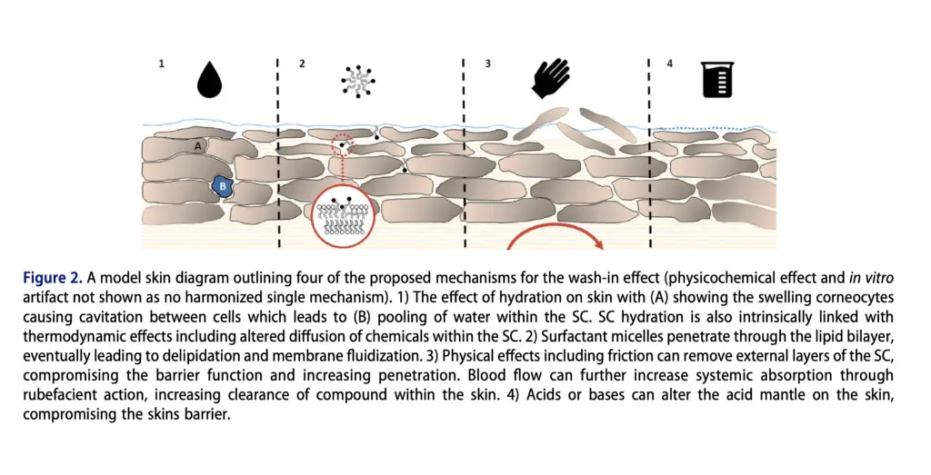 A diagram outlining the "wash in" effect