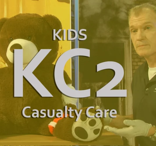 Kids Casualty Care – Online