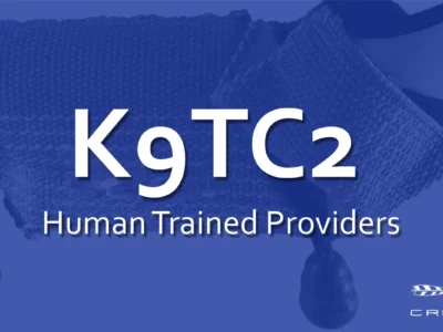K9 Tactical Casualty Care for Human Providers  – ONLINE
