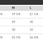 Hanes Authentic T specs