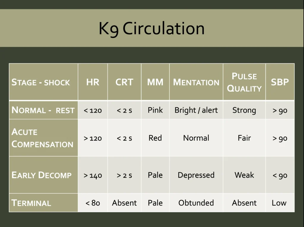 A slide showing K9 circulation values relative to stages of shock